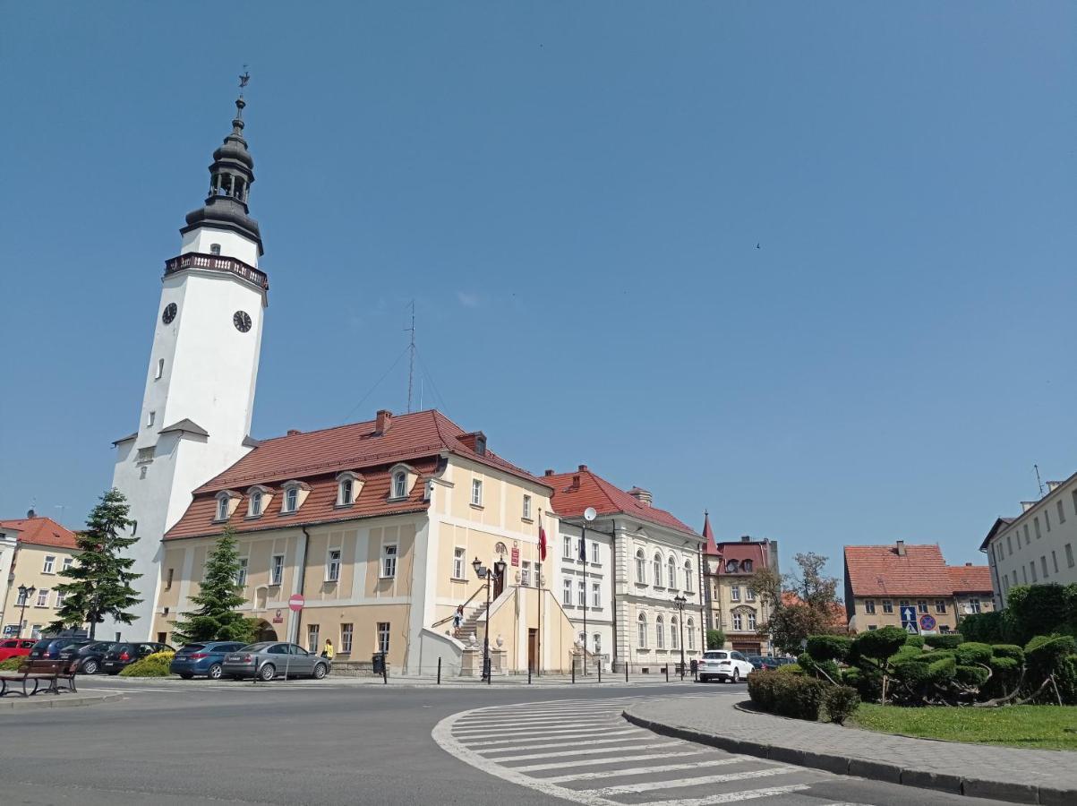 Ferienwohnung Babcares Apa Gory Izerskie Mirsk Exterior foto